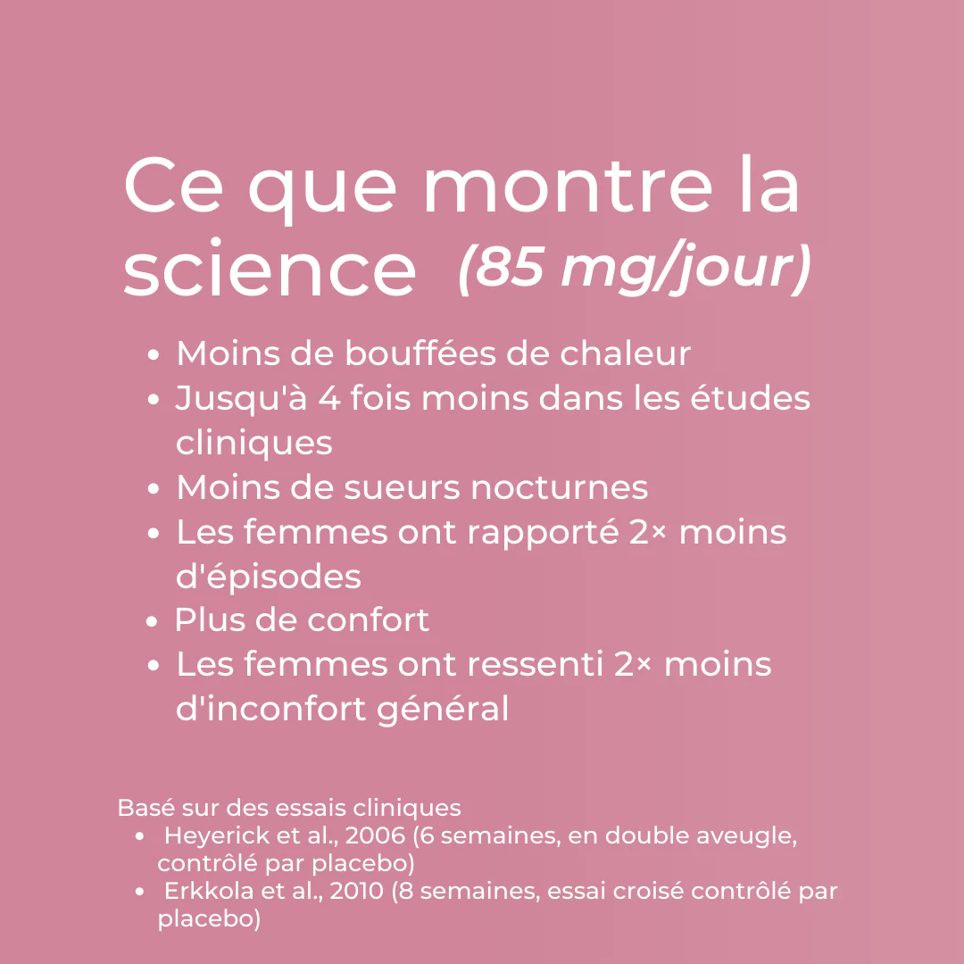Miniature 5