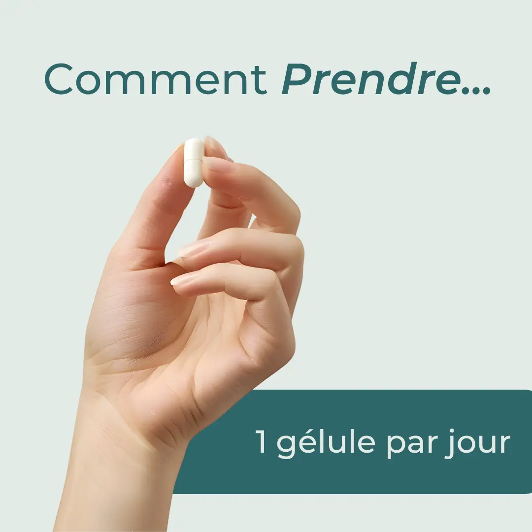 Miniature 5