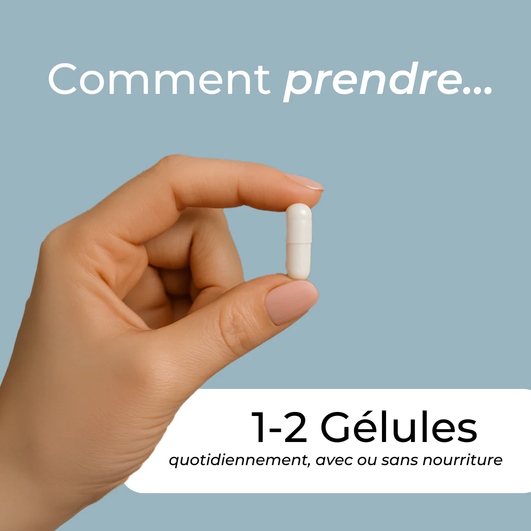 Miniature 4