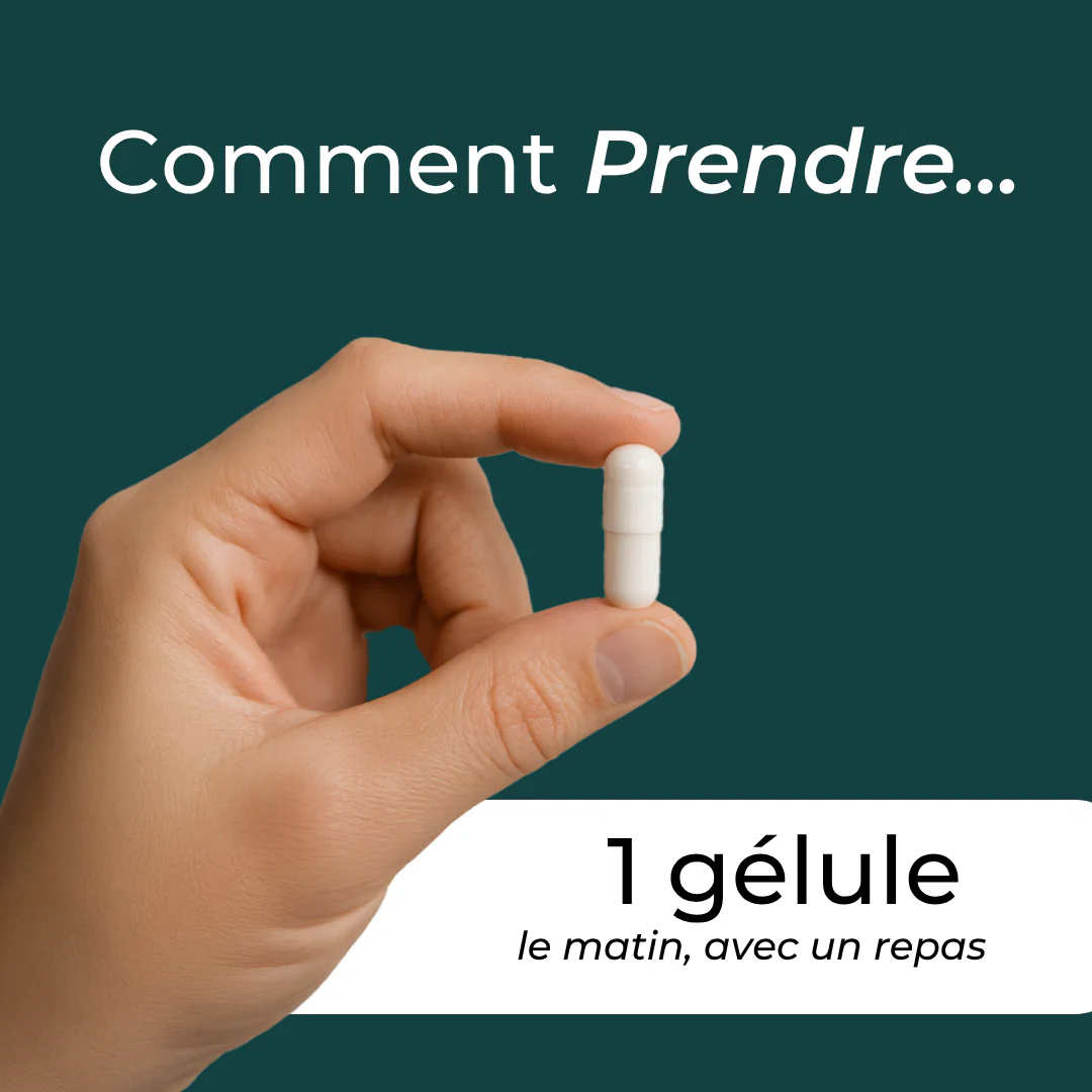 Miniature 6